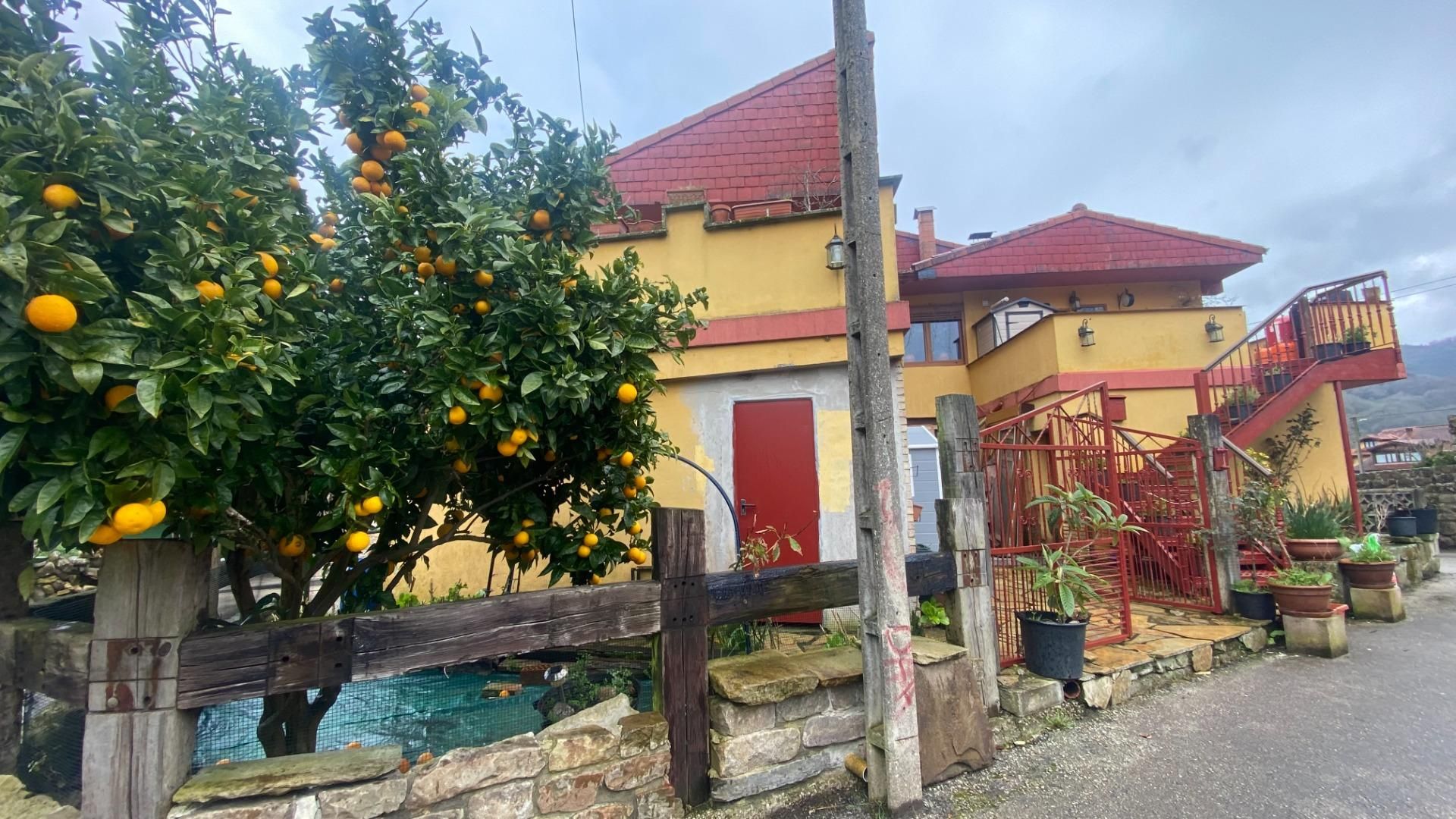 Exterior view of Planta baja for sale in Ruente