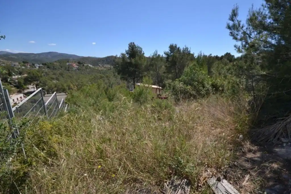 Terrain rustique à vendre à ESTRELLA, imagen 4