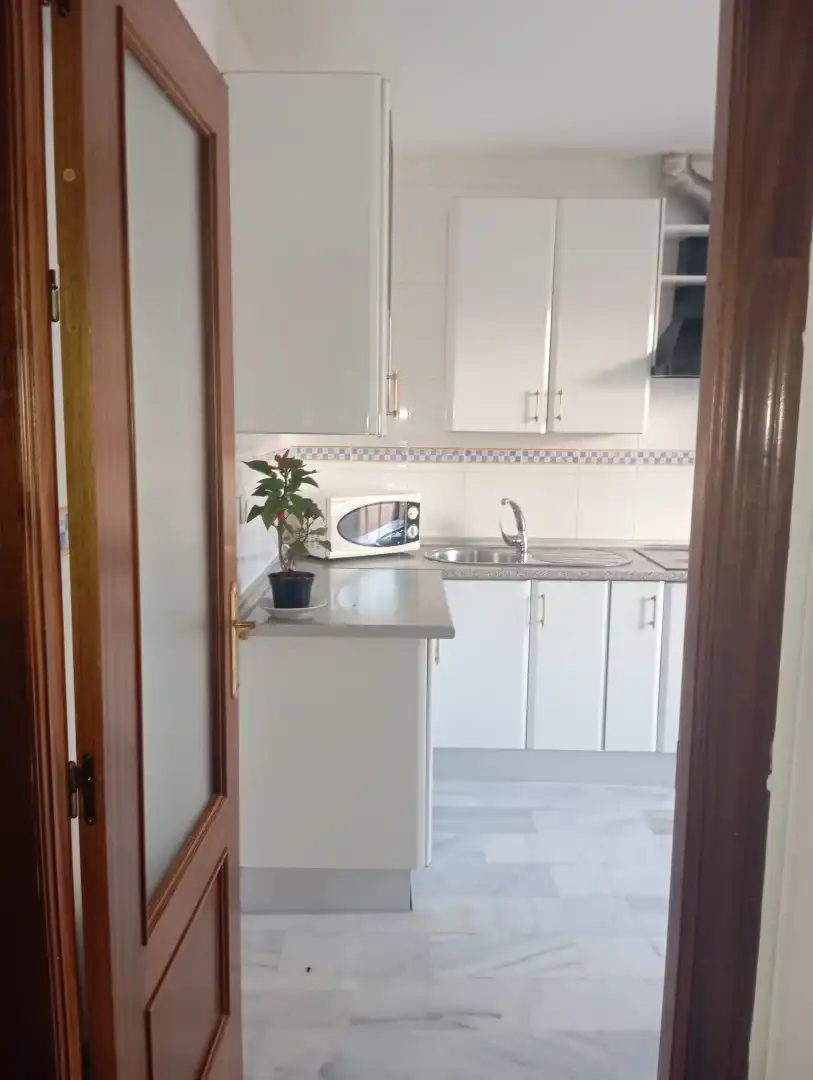 Kitchen of Detached homes for rent in Pilas  with Air Conditioner, Terrace and Washing machine