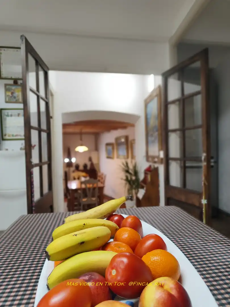 Casa rustica in vendita a Diseminado Cal Tinot 1, imagen 37