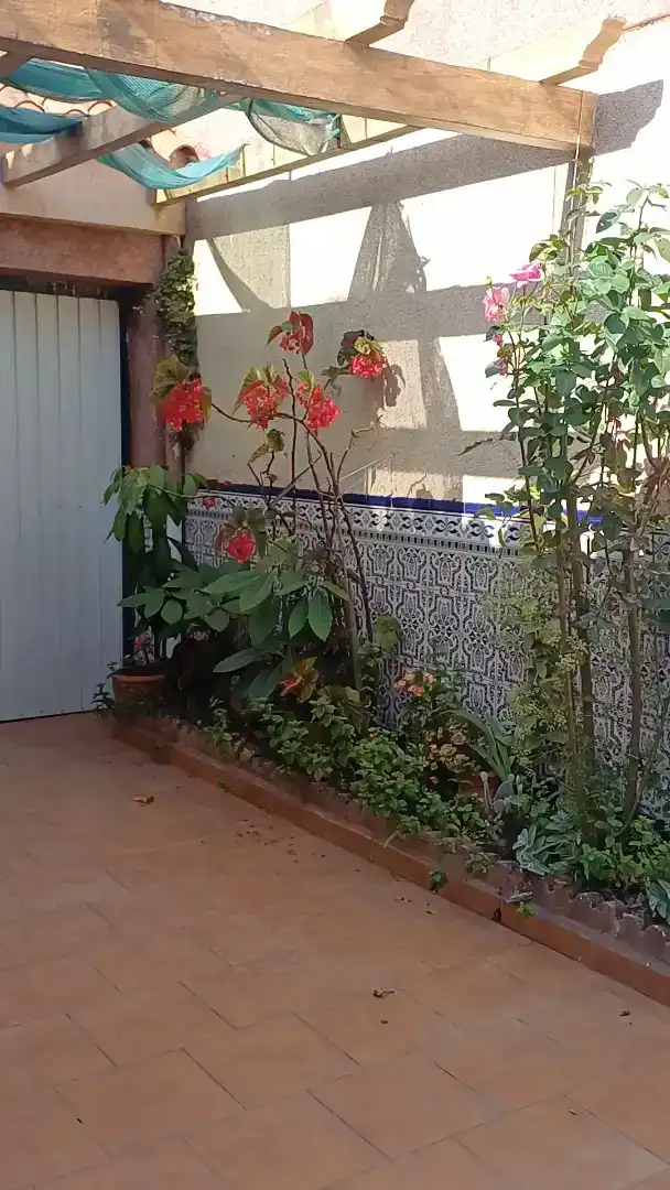 Jardín de Casa o chalet en venta en Algeciras con Aire acondicionado
