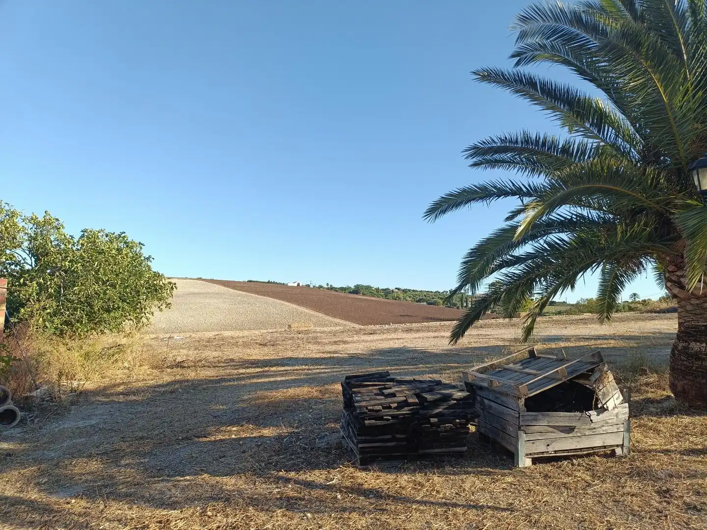 Casa rústica en venda a Arcos de la Frontera, imagen 3