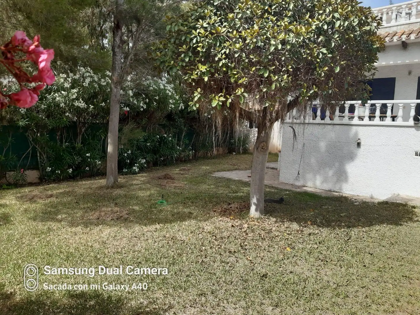 Villa avec piscine à vendre à Orihuela Costa, imagen 3