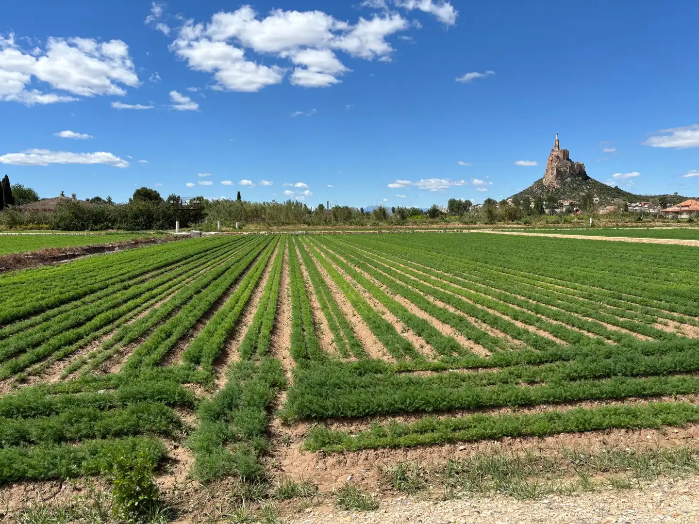 Jardín de Residencial en venta en Murcia