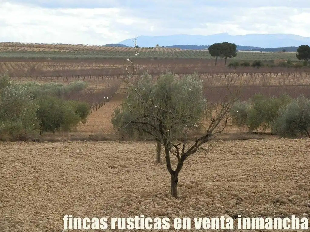 Rustikales Grundstück zum Verkauf in Cieza