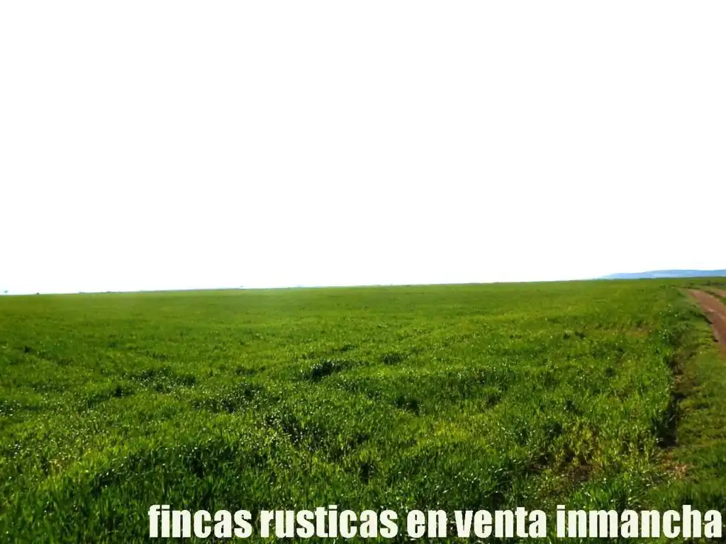 Terreni e lotti in vendita a Madridejos, imagen 4