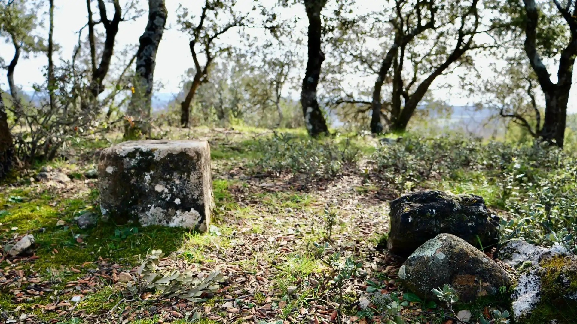 Exterior view of Land for sale in Arbancón