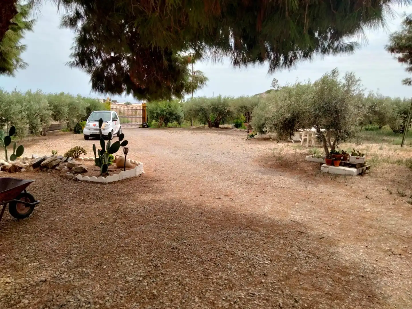 House with garden for sale in Calabardina, imagen 7