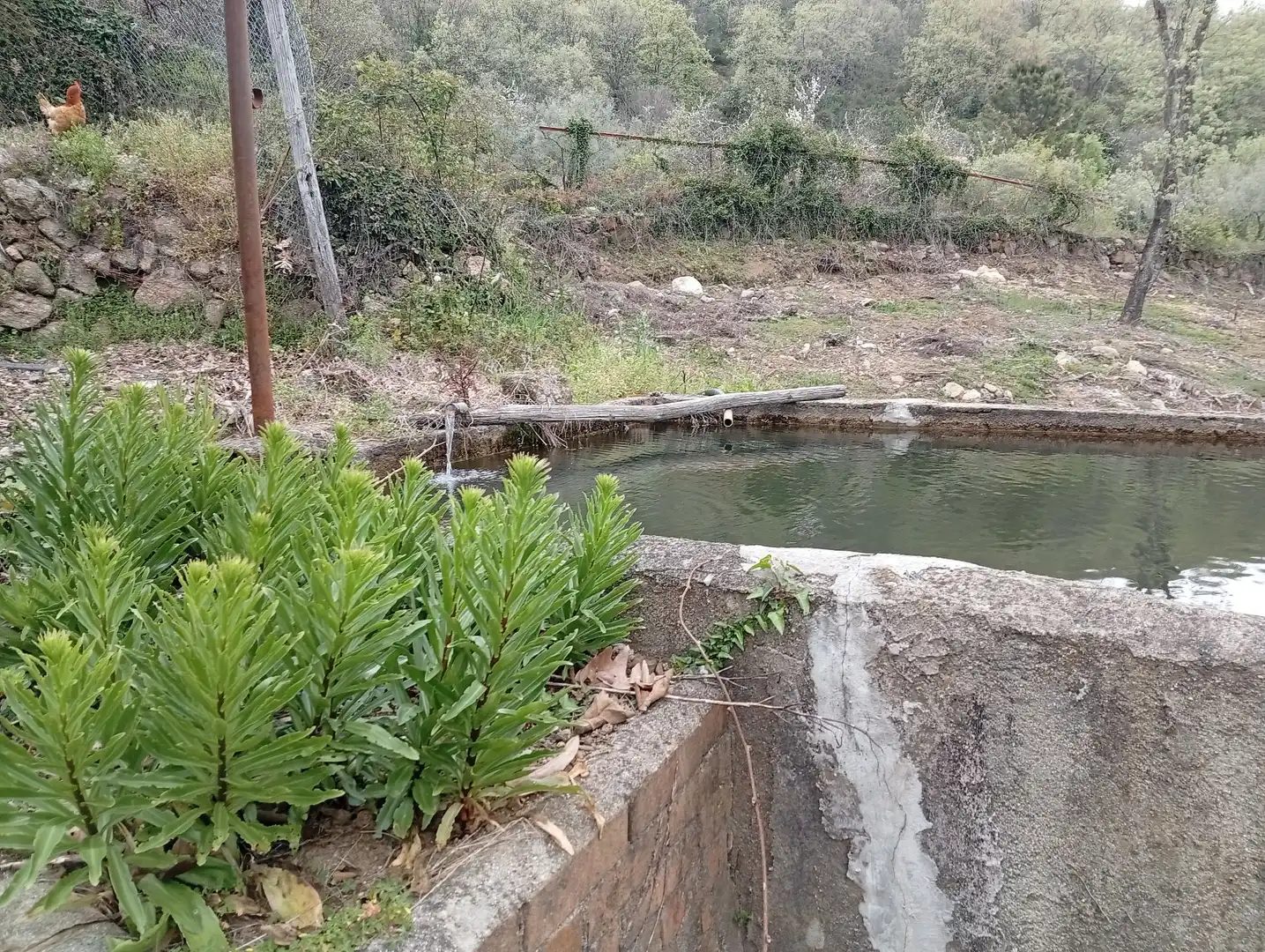 Terreni e lotti in vendita a Villanueva de la Vera, imagen 33
