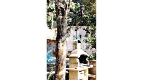 Foto 5 de Finca rústica en venta en Camino Sopalmo, Ibi, Alicante