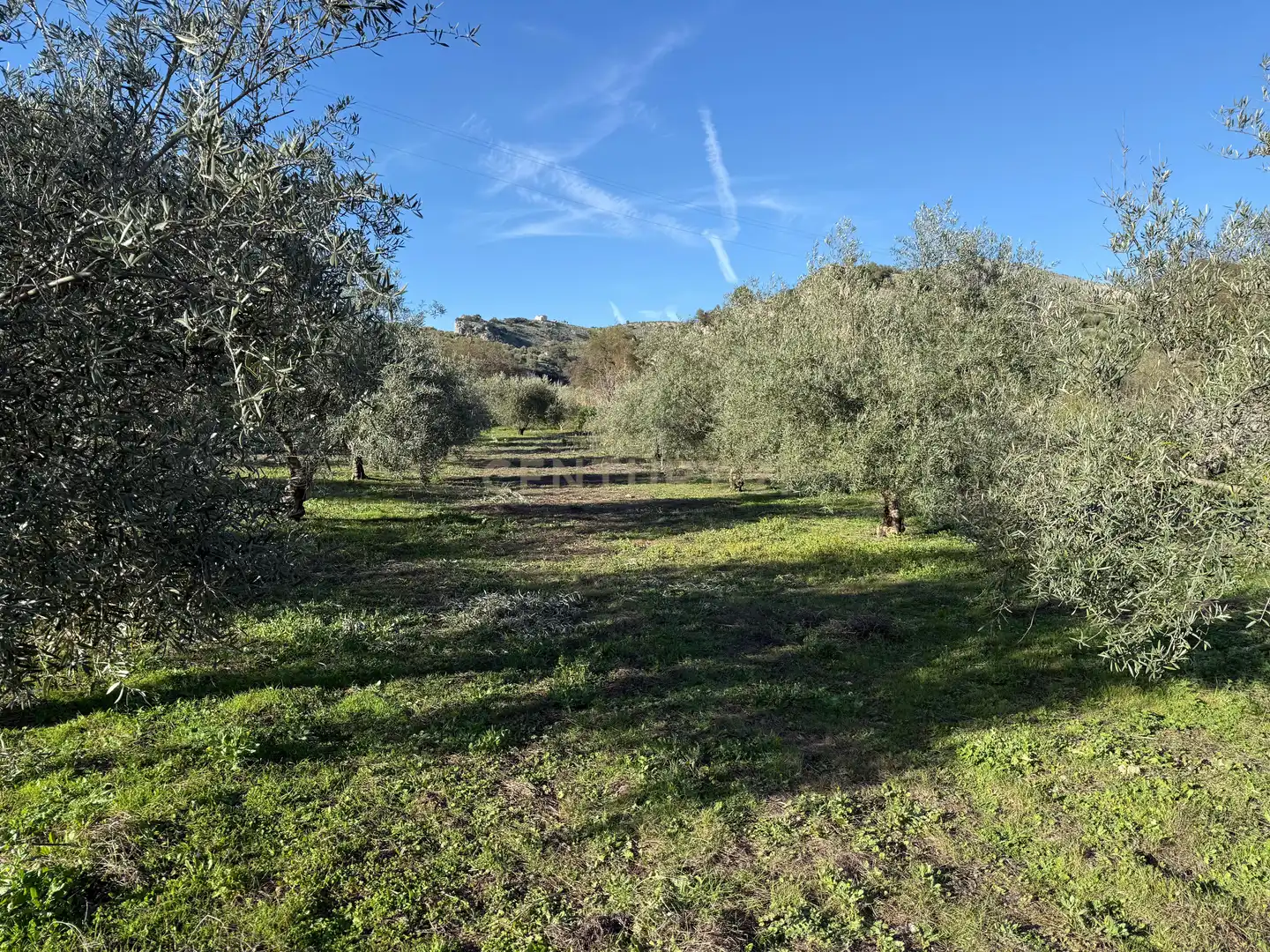 Rustikales Grundstück zum Verkauf in 8536+FQ Algarra sales, Spain, imagen 3