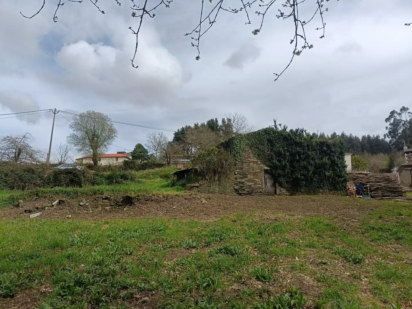 Maison avec jardin à vendre à Lugar Castelo, imagen 17