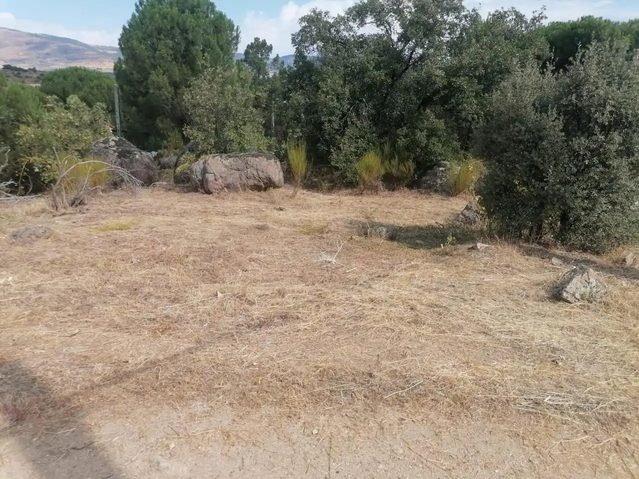 Terreni e lotti in vendita a El Tiemblo, imagen 6