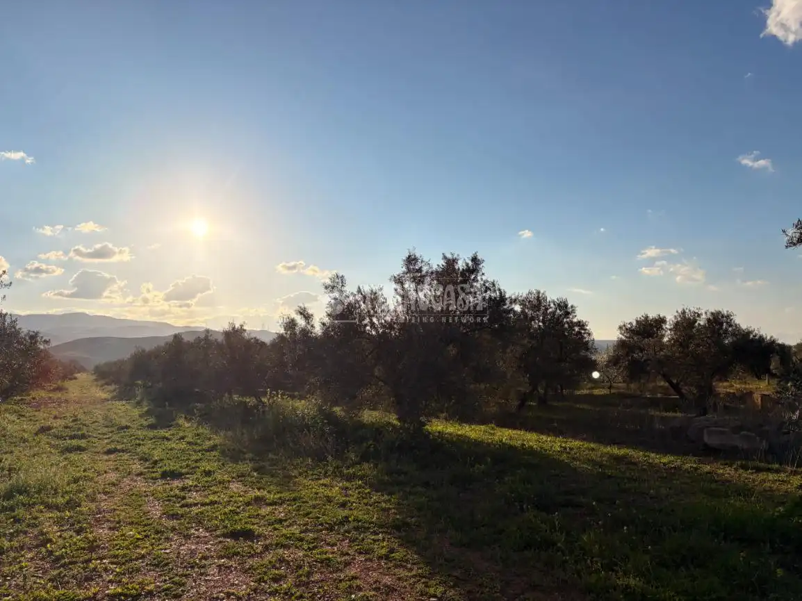 Rural land for sale in Dúrcal, imagen 3