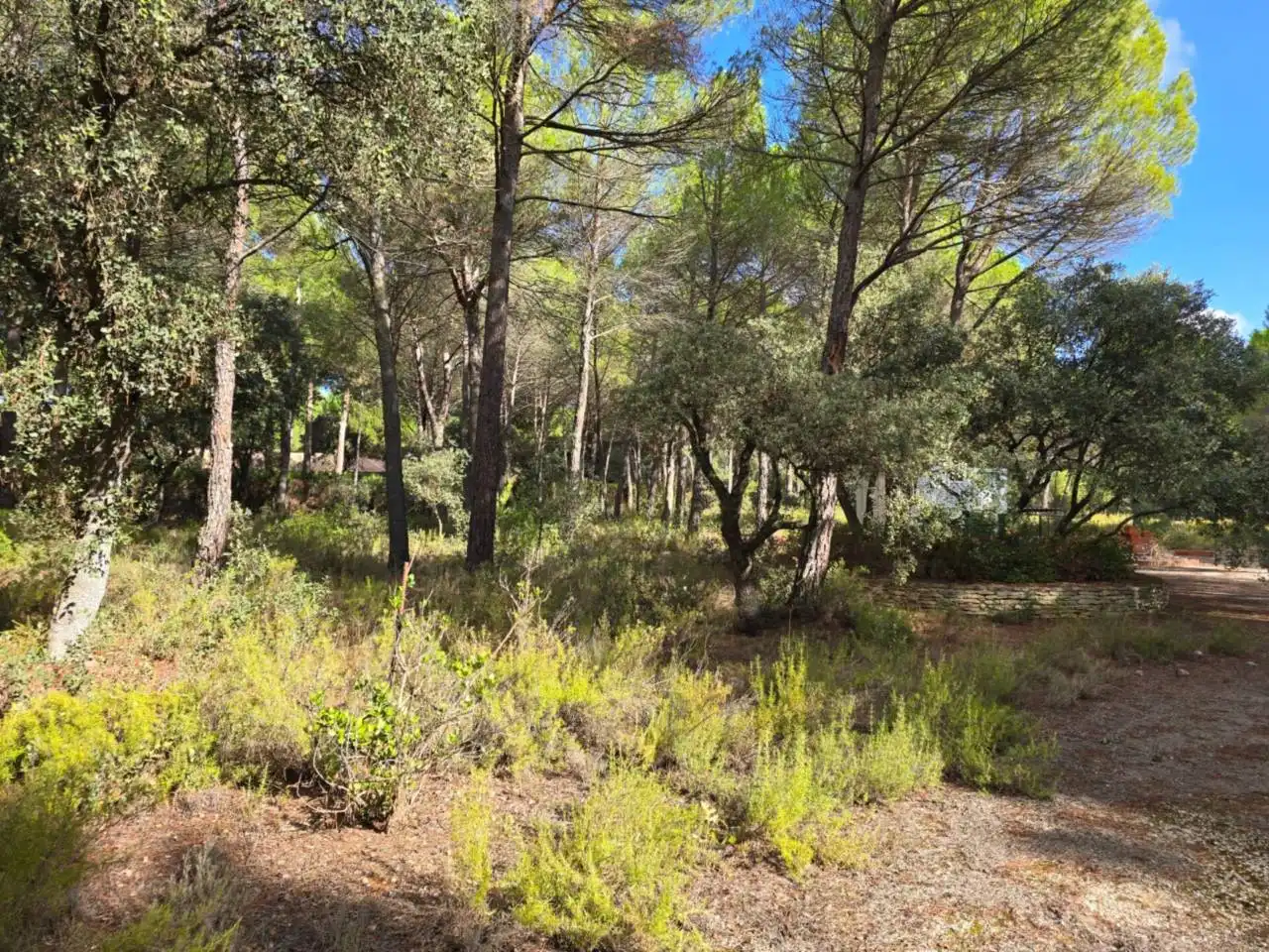 Terreno industriale in vendita a Pedanías - Extrarradio