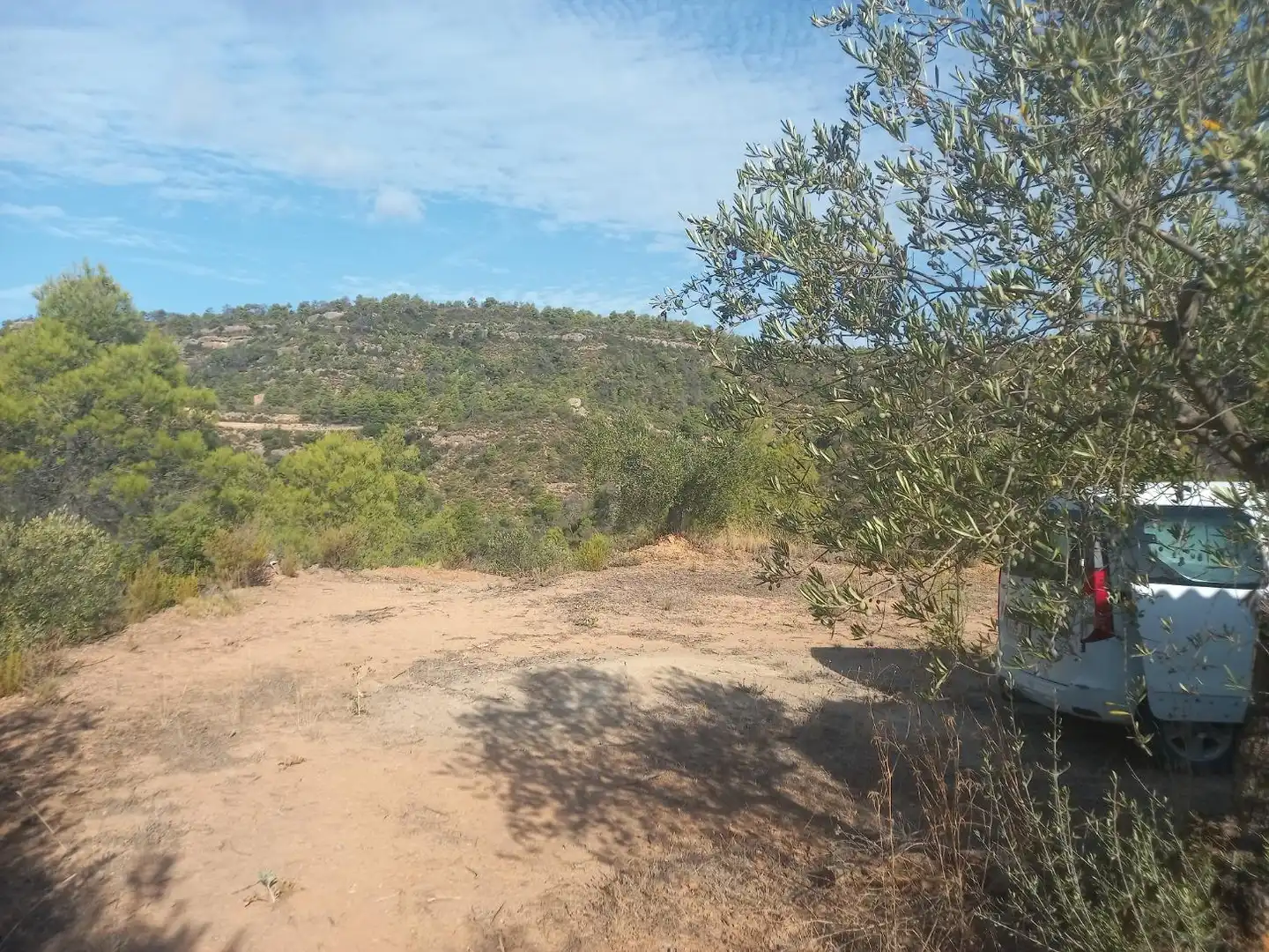 Terreno en venta en La Torre de l'Espanyol