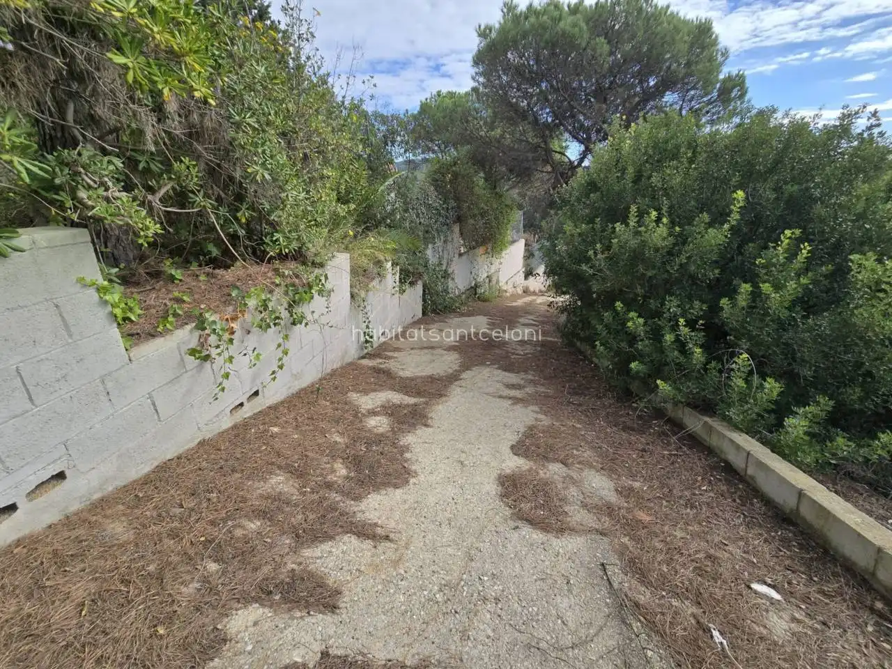 Casa o xalet en venda en Tordera amb Jardí privat i Terrassa
