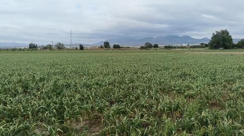 Photo 5 of Land for sale in  Polígono 8 Parcela 1 P Bajo. Vegas del Genil (gra, Purchil, Granada