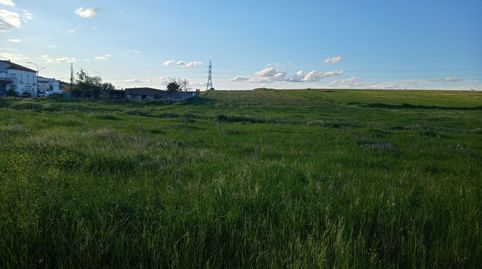 Foto 5 de Finca rústica en venta en Sur, Mérida