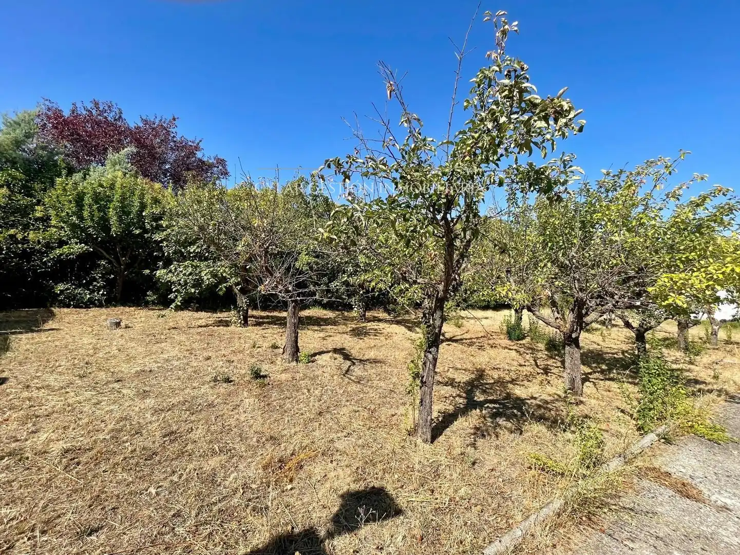 Rural land for sale in ALONDRA, imagen 9