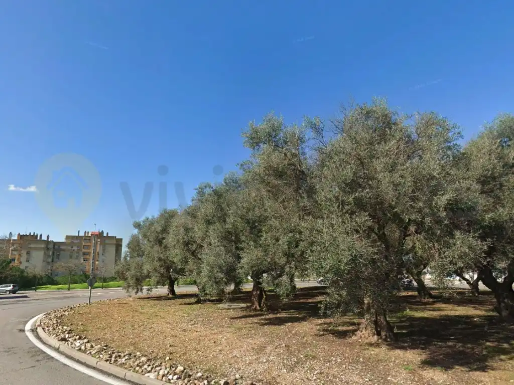 Piso en venta en Jerez de la Frontera