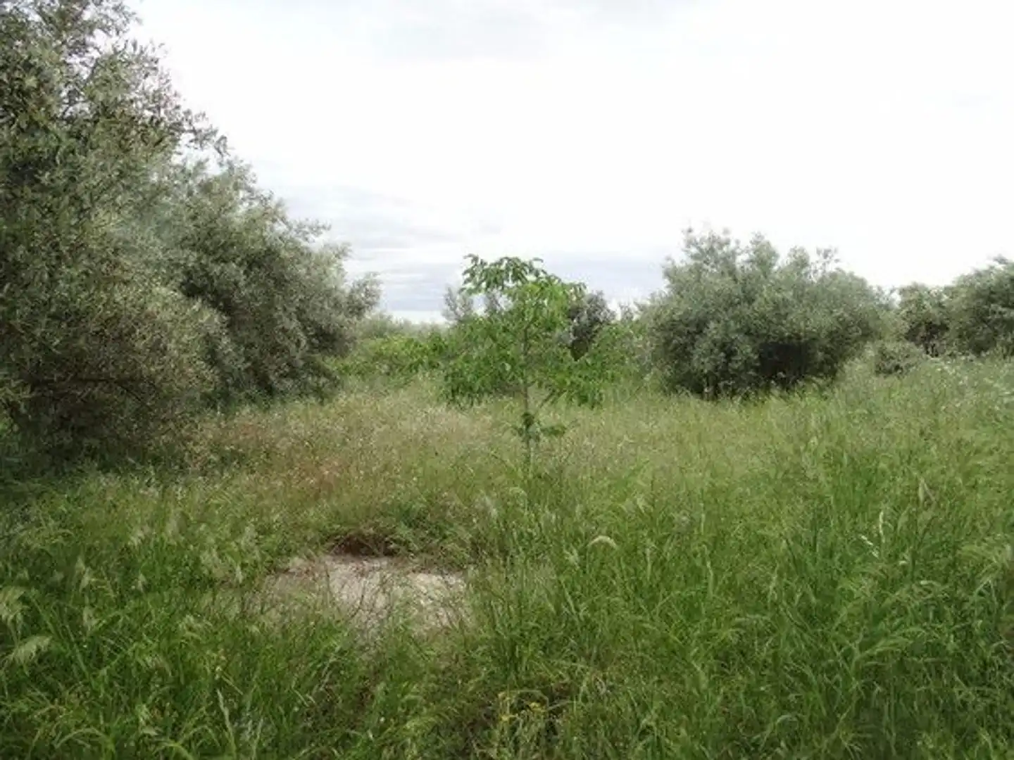 Xalet en venda a Moratalla, imagen 12