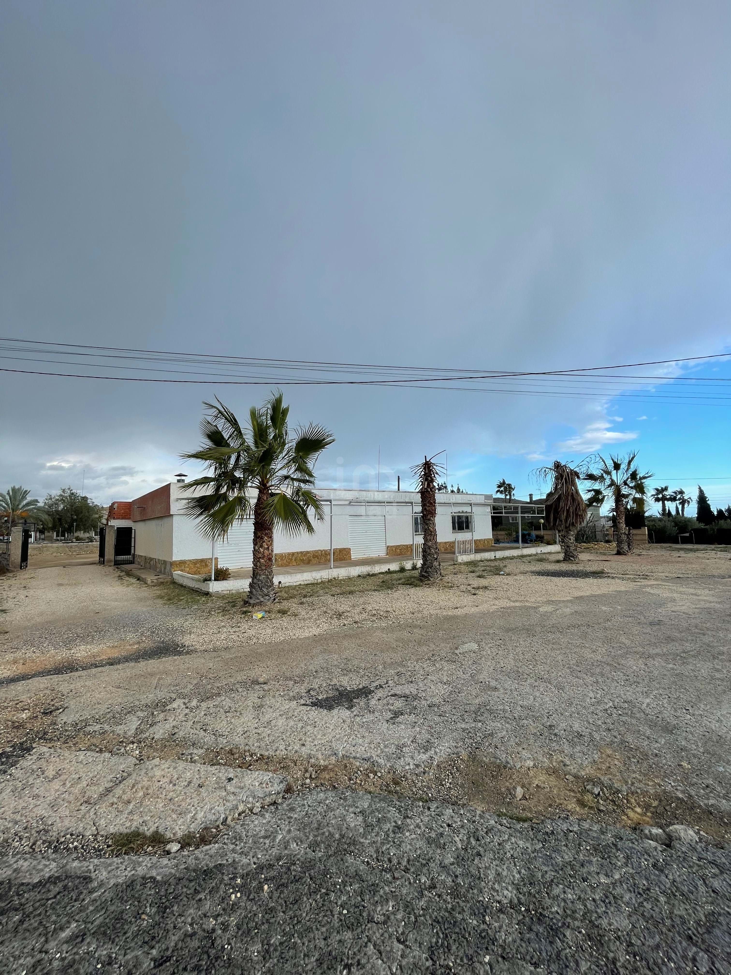 Exterior view of House or chalet for sale in Elche / Elx