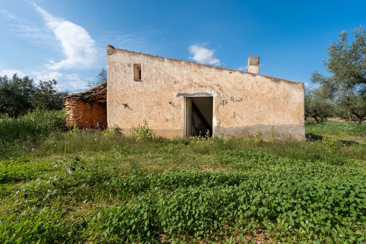 Exterior view of Land for sale in Traiguera