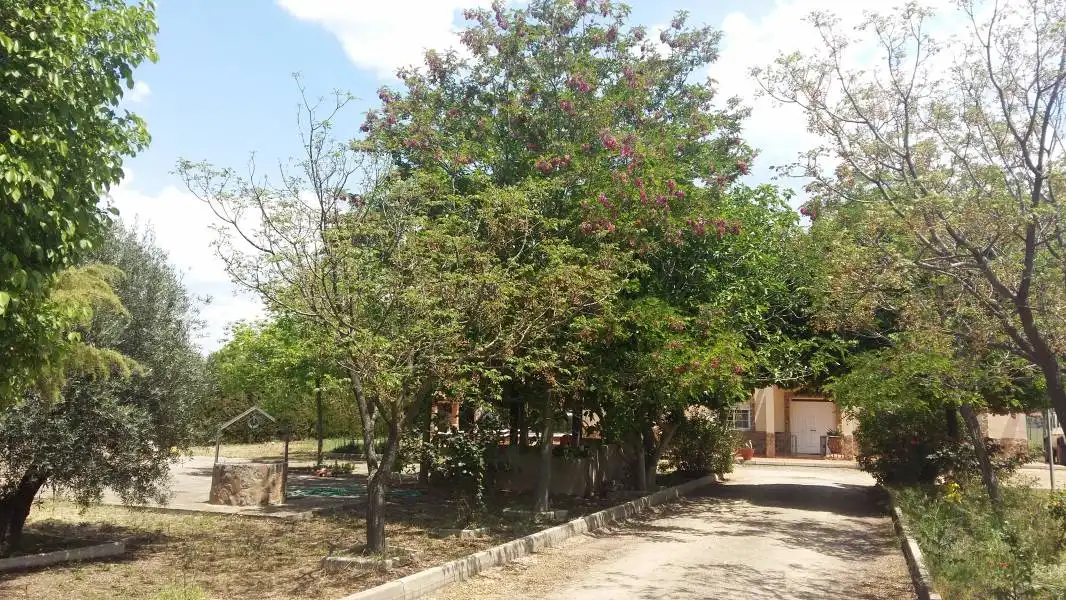 Xalet amb terrassa en venda a Argamasilla de Calatrava, imagen 40