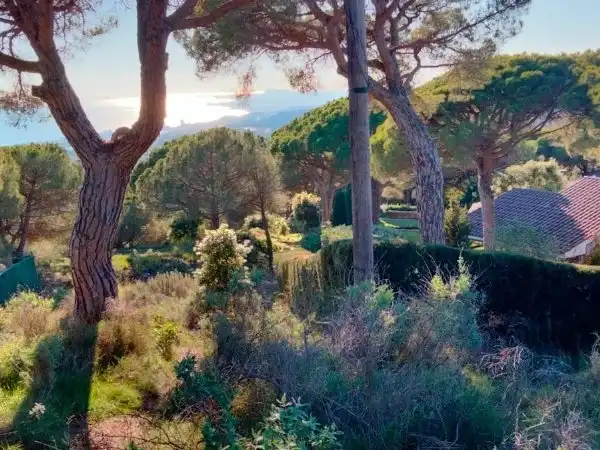 Residential land for sale in Avinguda Sant Mateu, imagen 5