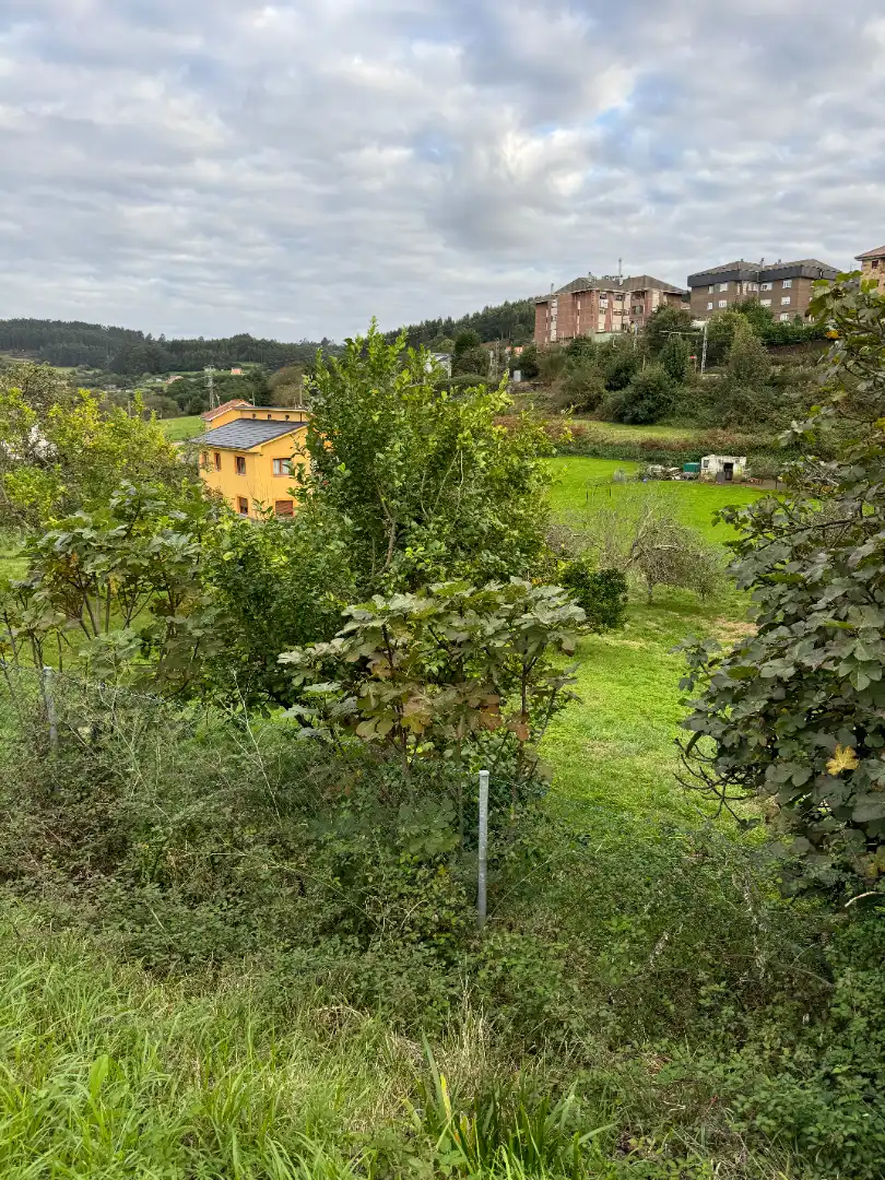 Lands and plots for sale in Lugar de La Florida 20, imagen 16