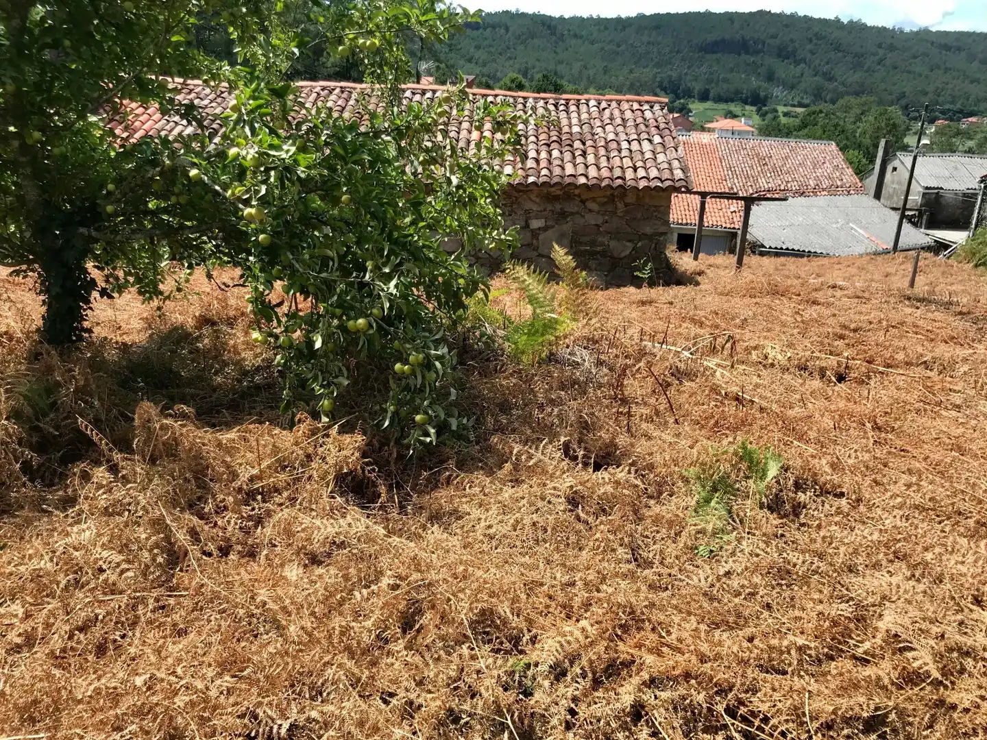 Finca rústica en venda en Noia