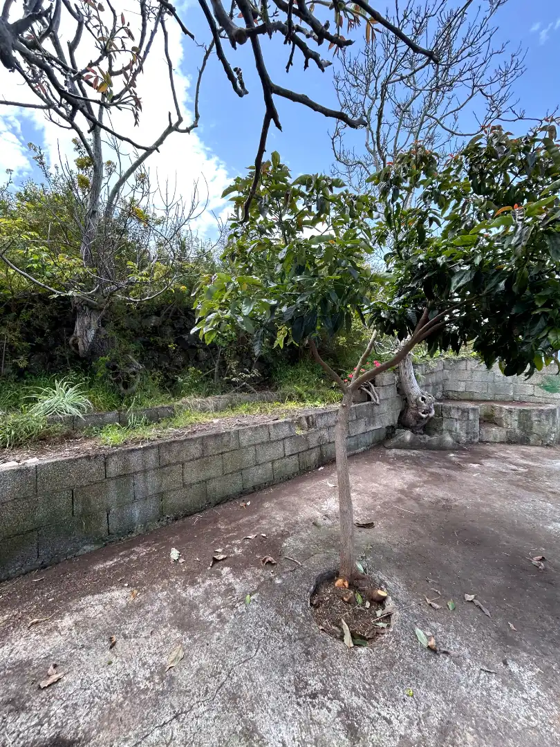 Residential for sale in Santa Úrsula