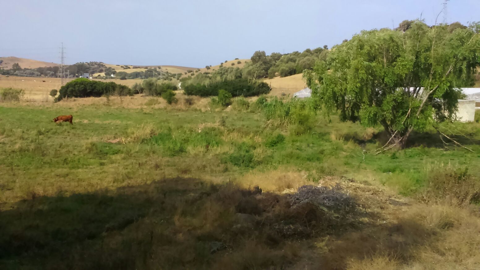 Finca rústica en venda en Benalup-Casas Viejas amb Jardí privat i Moblat