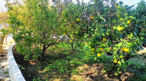 Foto 3 de Terreno en venta en Pl Poligono 47 62 Polígono 47 Parcela \1 001405100, Polig, Pedanías Oeste, Aspe