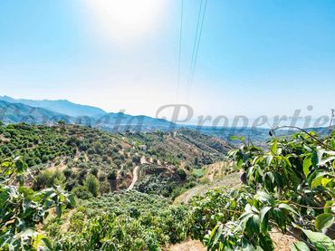 Terreno rustico in vendita a Torrox Pueblo
