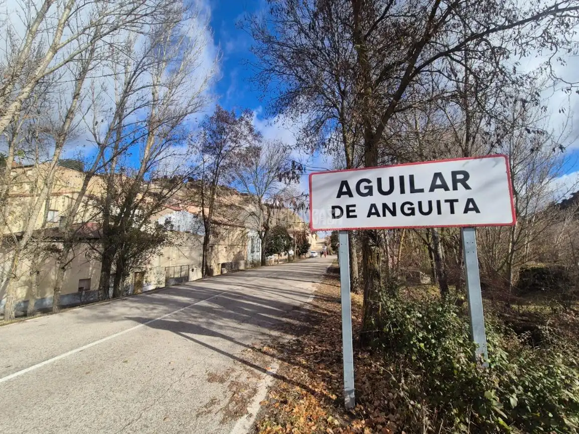Vista exterior de Finca rústica en venda en Anguita amb Jardí privat