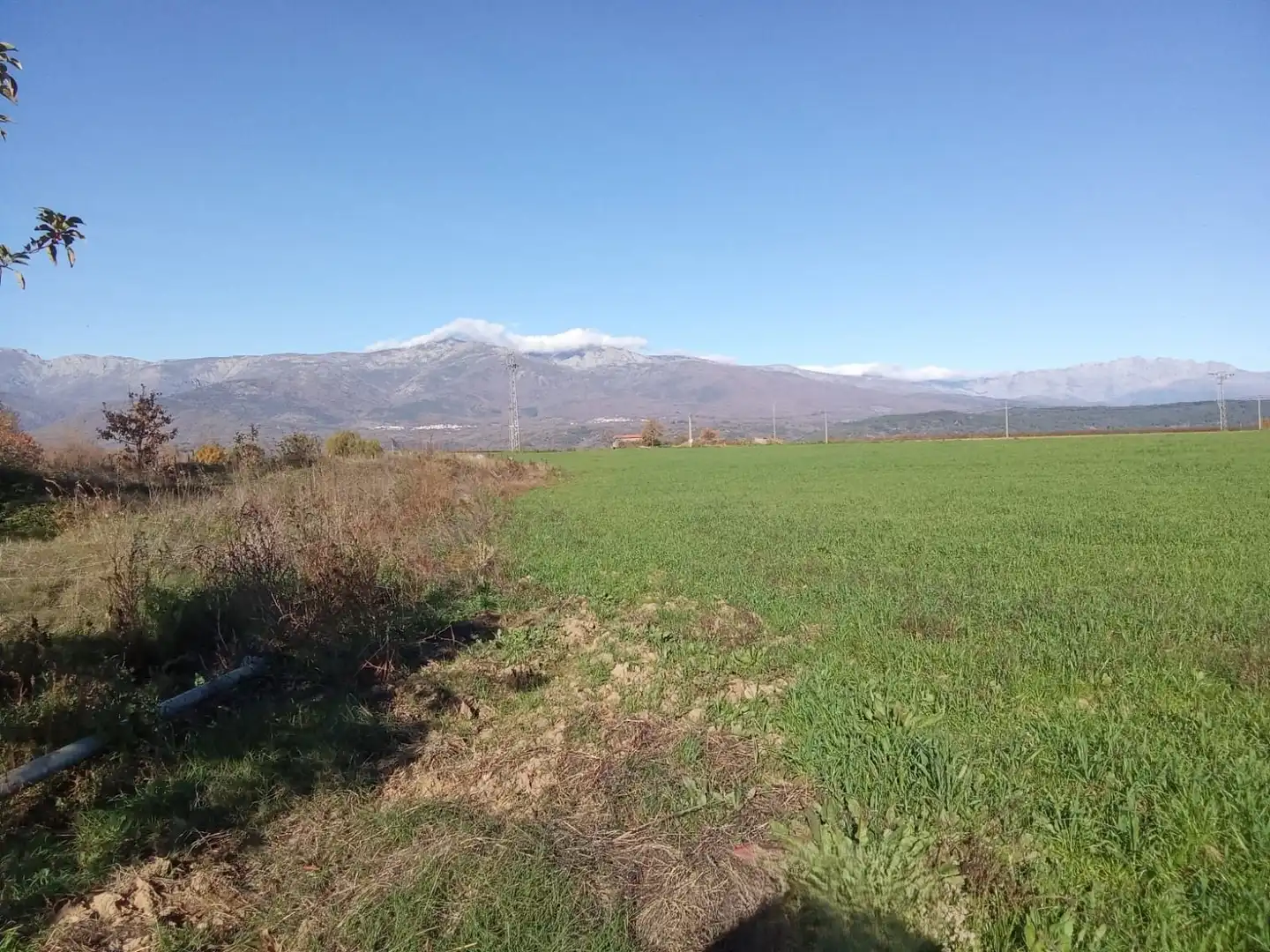 Land for sale in Losar de la Vera