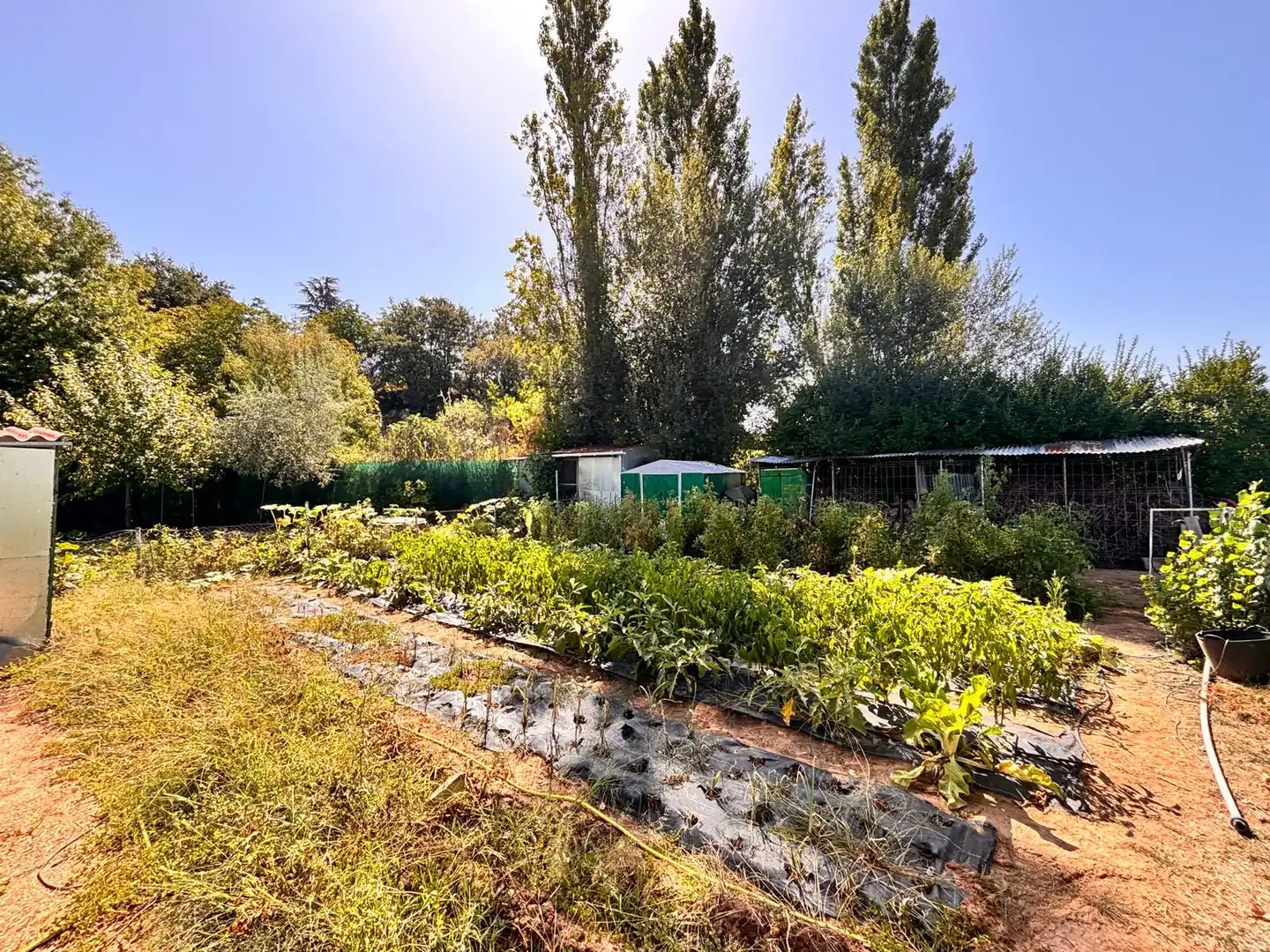 Villa con piscina in vendita a Lardero, imagen 4