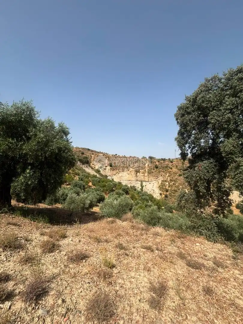 Land for sale in Quéntar