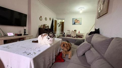 Foto 4 von Wohnung zum Verkauf in La Orden,  Huelva Capital