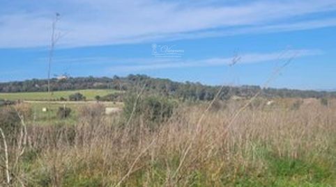 Se vende terreno en Algaida, Mallorca, imagen 3