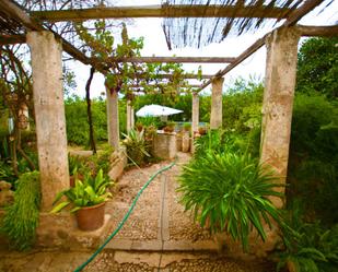 Jardí de Finca rústica en venda en  Palma de Mallorca amb Aire condicionat, Calefacció i Jardí privat