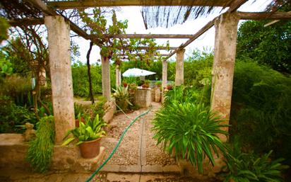 Jardí de Finca rústica en venda en  Palma de Mallorca amb Aire condicionat, Calefacció i Jardí privat