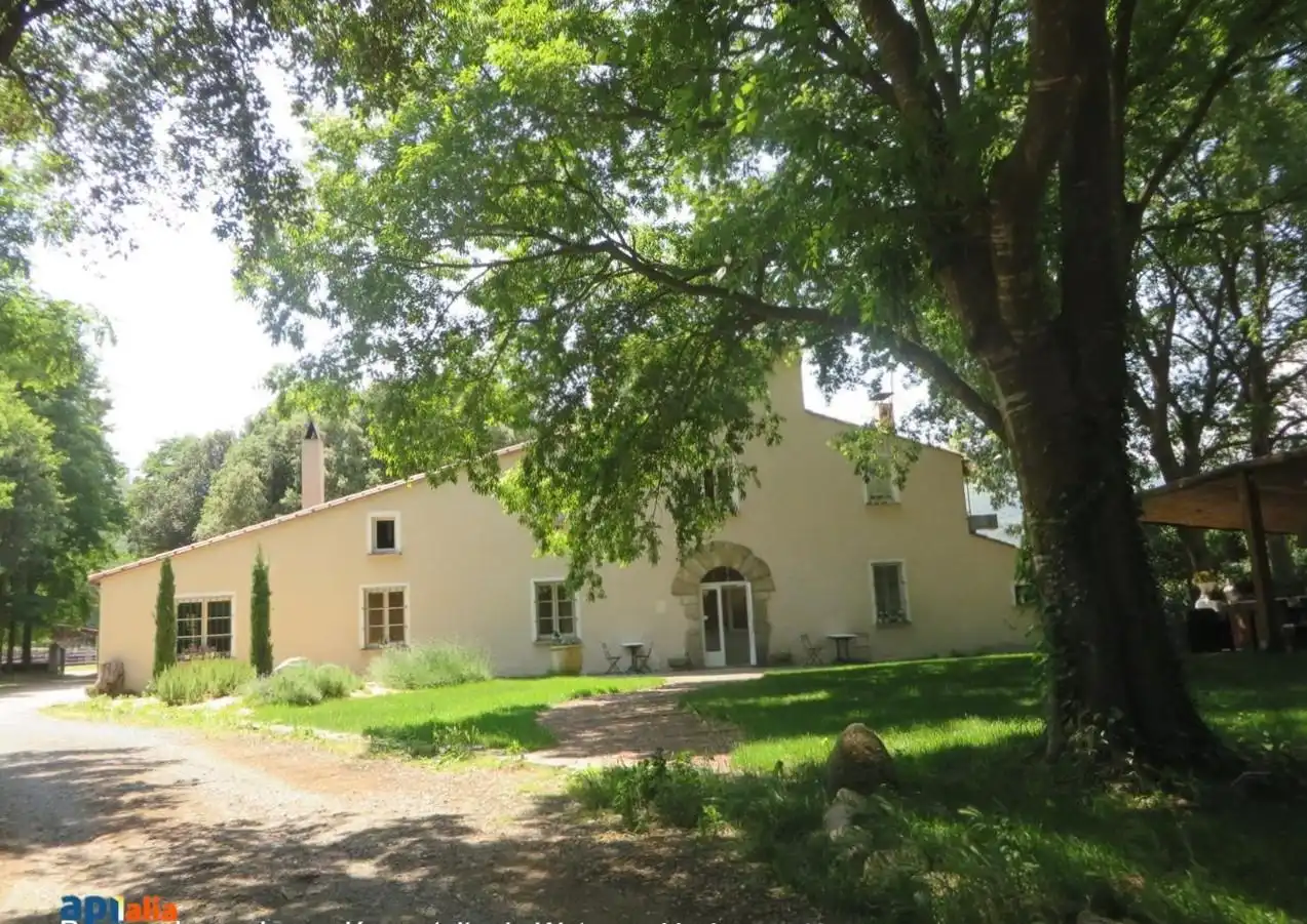 Vista exterior de Finca rústica en venta en Massanes