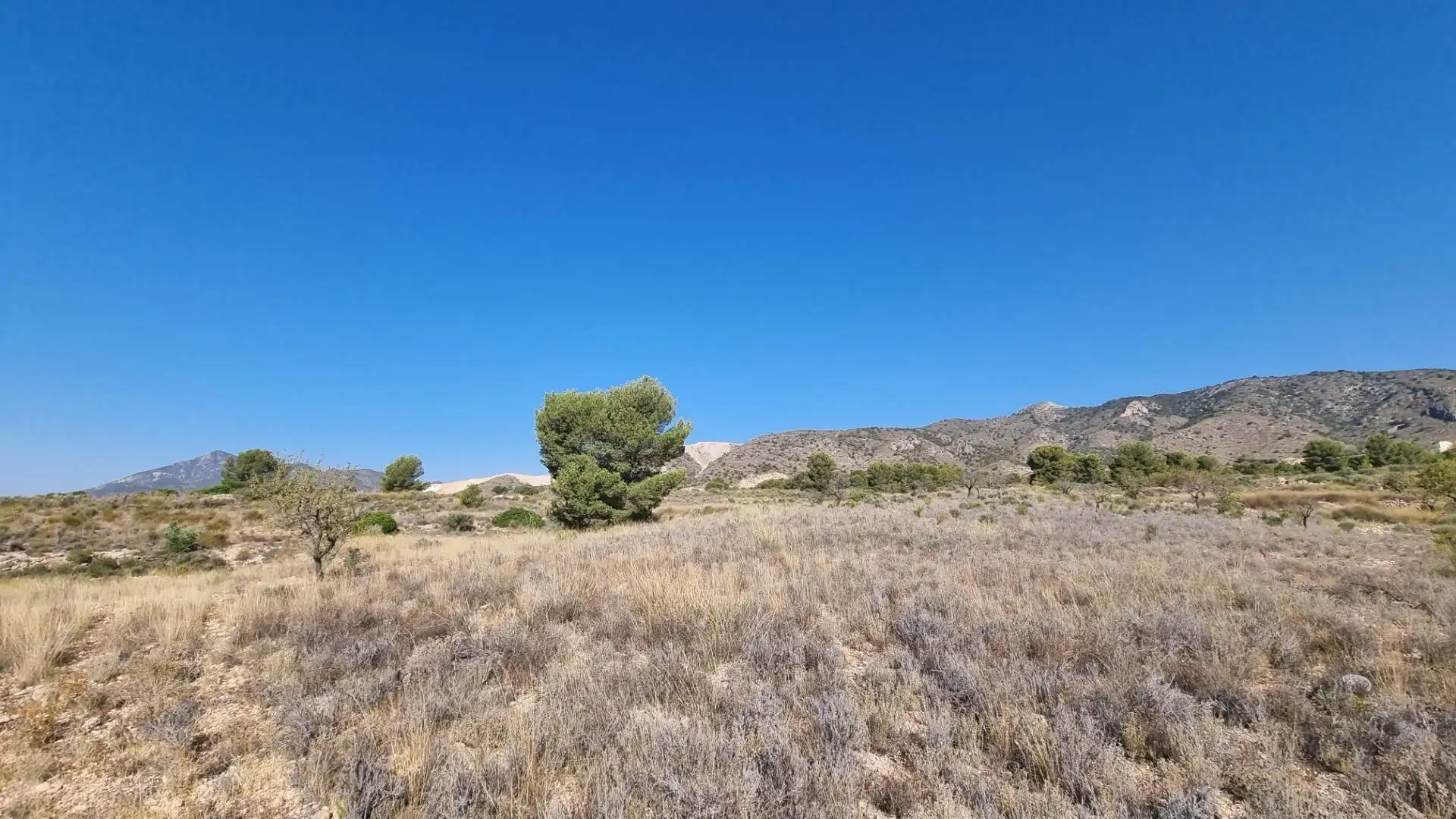 Lands and plots for sale in Abanilla, imagen 10