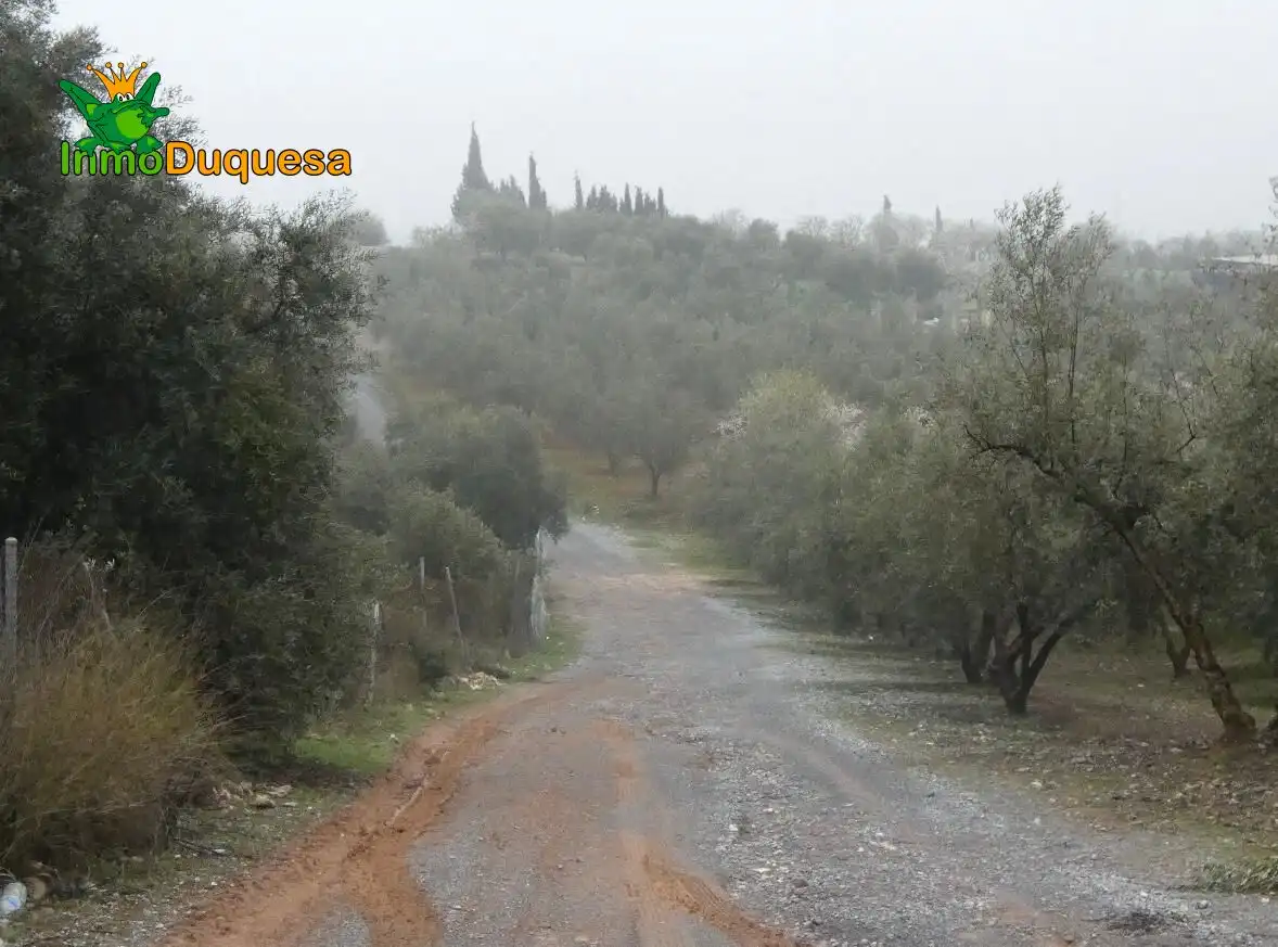 Casa rustica in vendita a Peligros, imagen 12