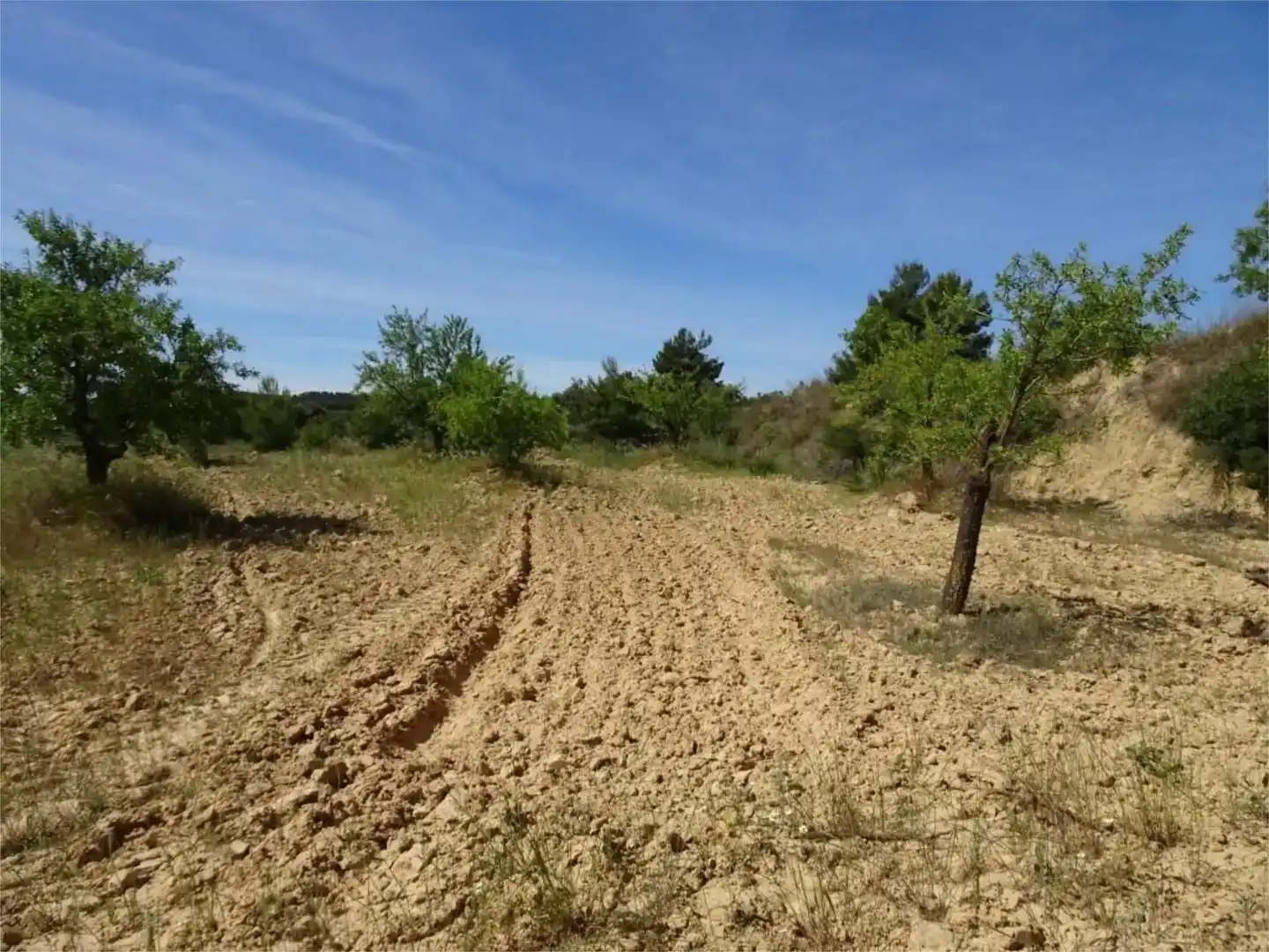 Land for sale in Batea