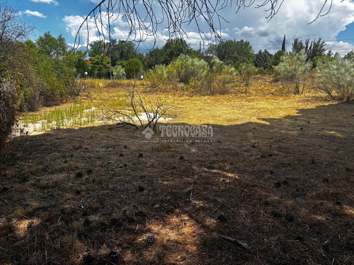 Land for sale in Las Rozas de Madrid