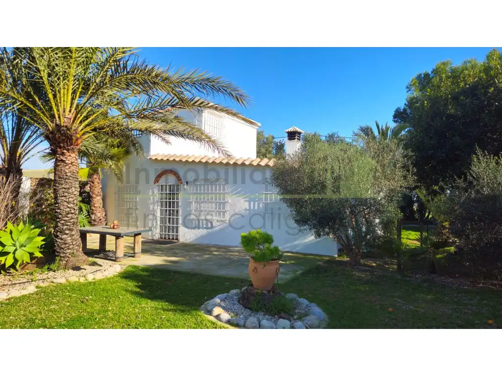 Jardí de Casa o xalet en venda en Benicarló amb Jardí privat, Terrassa i Forn